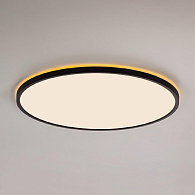Потолочный светильник 50 см, 50W, 3000-5500K, 20 м2 Citilux Norma CL748501, черный
