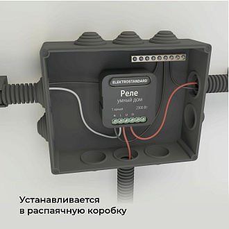 Умное одноканальное реле 76006/00 Elektrostandard