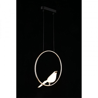 Подвесной светодиодный светильник с птичкой  Aployt Astor APL.822.06.10, черный/золото