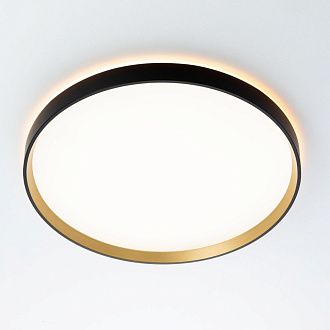 Светильник с пультом 40 см, 40W, 3000-5500K Чёрный+Золото Citilux ETALON CL750401R LED RGB