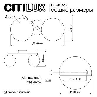 Светильник 34 см, Citilux RONNY CL242323, золото