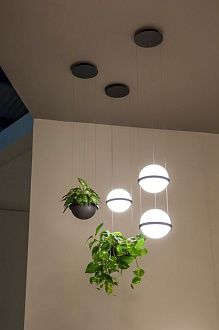 Подвесной светильник PALMA lamp Шар 22*22*250 см, 1*LED*9W, 3000, 4000, 6000K, ImperiumLoft 22.93727, Серый