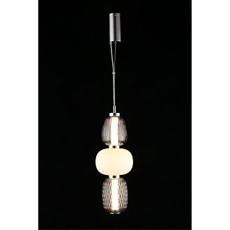 Подвесной светильник 17*80-170 см Aployt Oliwcia APL.319.06.29,