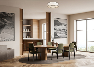 Светильник 52 см, Maytoni MOD613CL-03W, белый-черный