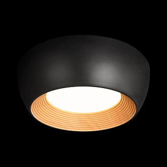 Потолочный светильник 50*12 см, 1*LED*24W 4000K LOFT IT Folk 10255/350 Black черный