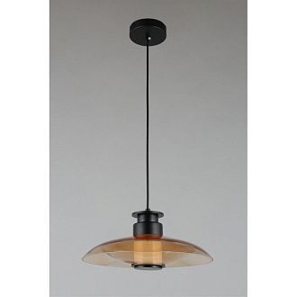 Подвесной светильник 30*40-200 см, 1*LED, 10W, 3000K, Aployt Stefa APL.648.16.10, черный