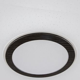 Светильник 67 см, 115W, 3000K-5500K Citilux Старлайт Смарт CL703A105G коричневый