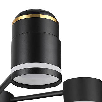 Люстра потолочная 56*59*31/51 см, 6*GX53*10W+3*LED*5W 2700K Lumion Virsava 8234/6C черный
