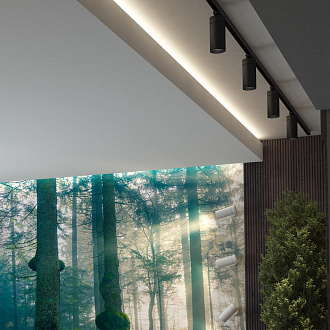 Трековый светодиодный светильник Novotech Dep 358595, 30W LED, 4000K, черный