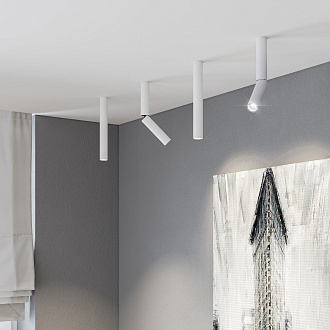 Накладной светодиодный светильник Pika 25029/LED 6W 4200K белый Elektrostandard