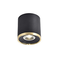 Светильник 8*8 см, LED 10W, 4000K Favourite Prakash 3086-2C, D88*H91, Светильник, каркас сочетает в себе два цвета - матовый черный и золото, декоративный элемент в виде кольца