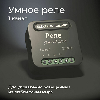 Умное одноканальное реле 76006/00 Elektrostandard