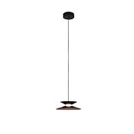 Подвесной светильник 2180 см, 4W, Favourite Platt 4372-1P