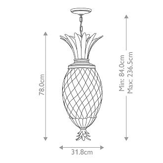Подвесной светильник Hinkely Lighting, Арт. HK-PLANT4-P-PL