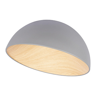 Потолочный светильник 50*29 см, 1*LED*36W 4000K серый LOFT IT Egg 10197/500 Grey