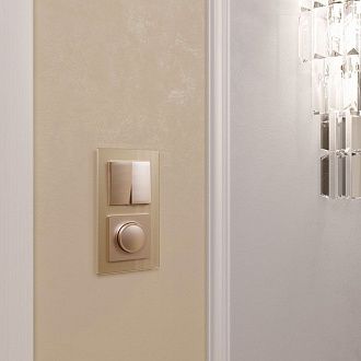 W0021111 Рамка на 2 поста Favorit, шампань,стекло Werkel, 4690389159596