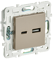 SKANDY Розетка USB A+C 3,1А SK-R14Sh шамп. IEK, SK-U22-D31-K37