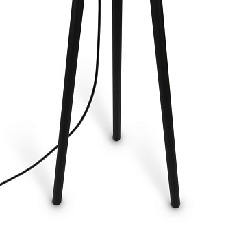 Торшер Maytoni Z177FL-01B, черный