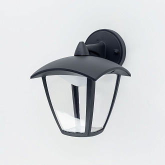 Уличный настенный светодиодный светильник Citilux CLU04W2, LED 7W, черный