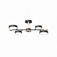 Потолочный cветильник LED4U L3213-670 BK