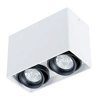 Накладной светильник Arte Lamp A5655PL-2WH белый