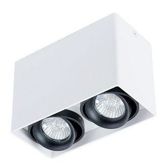Накладной светильник Arte Lamp A5655PL-2WH белый