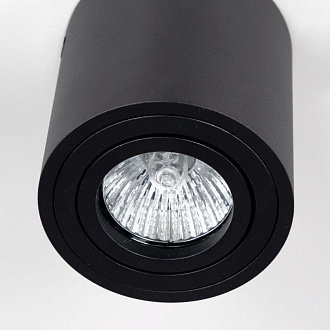 Светильник Черный Citilux Дюрен CL538113