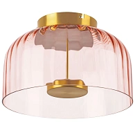 Потолочный светодиодный светильник Lightstar Celesta 809062