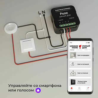 Умное одноканальное реле 76006/00 Elektrostandard