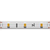 Светодиодная лента Base 12В 2835 4,8Вт/м 6000K 5м IP 20 201164 Maytoni Technical, цена за метр, катушкой по 5 м