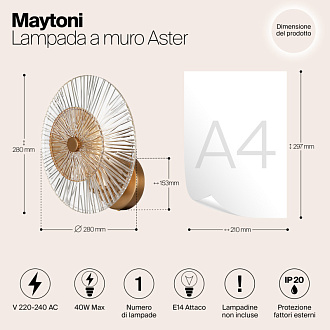 Светильник 28 см, Maytoni Aster MOD007WL-01G, золото