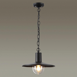Уличный подвесной светильник Odeon Light Furcadia 4833/1, диаметр 30 см, черный
