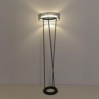 Торшер 165 см, 30W, 3000-6000K, Lumion Ledio Alva 8370/30FL, черный