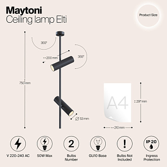 Подвесной светильник Maytoni Elti C021CL-02B черный