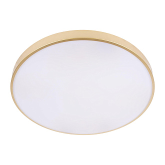 Потолочный светильник 60*5 см, 1*LED*48W 4000K золото LOFT IT Flims 10228/B