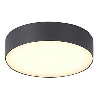 Накладной уличный светильник *22*4,5 см, *LED*20W, 3000/4000/6500K, ST-Luce SUN SL9518.702.01, серый