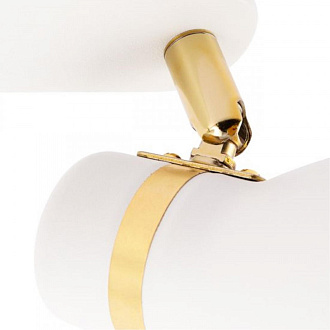 Светильник потолочный 36*11*16 см, 2*E27 белый Arte Lamp Fafnir A5047PL-2WH