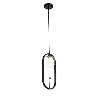 Подвес 17*13 см, ST LUCE CIRCONO SL1201.403.01 Черный