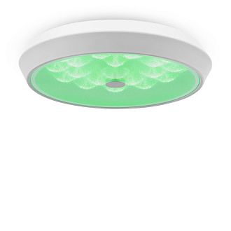 Потолочный светильник 39 см, 24W Freya Cells FR10012CL-L24W, 3000-6500K, белый