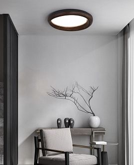 Потолочный светодиодный светильник Inodesign Runis Black 44.8014