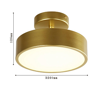 Потолочный светильник F-Promo Atma 3059-2P, D200*H125, накладной светильник, золота, рассеиватель из белого акрила, угол поворота до 45°