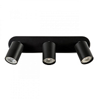 Светильник 35 см, Arte Lamp AQUARIUS A3226PL-3BK, черный