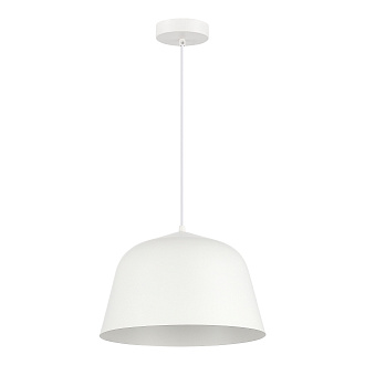 Светильник подвесной BLANK 1*E27 EVOLUCE SLE1805-503-01 белый