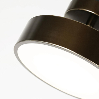 Потолочный светильник F-Promo Atma 3060-2P, D200*H125, накладной светильник, каркас коричневого цвета, рассеиватель из белого акрила, угол поворота до 45°