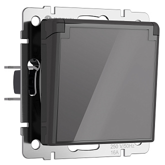 W1171244 Розетка влагозащ. с зазем. с защит. крышкой и шторками, графит акрил Werkel, 4690389197529