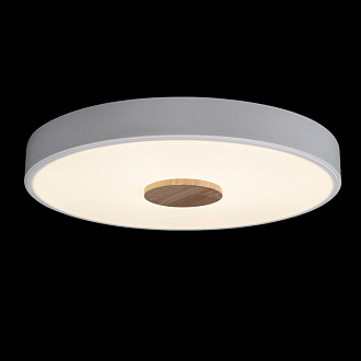 Светильник 40 см, 24W, 4000K Loft IT Axel 10003/24 white, белый