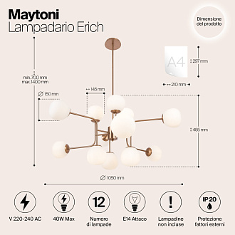 Подвесная люстра Maytoni Erich MOD221-PL-12-G