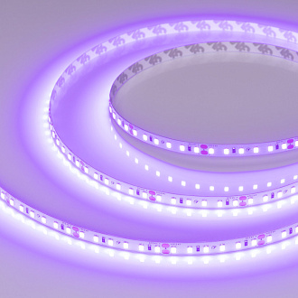 Лента RT-A120-8mm 24V Violet (9.6 W/m, IP20, 2835, 5m), Arlight 043384. Цена указана за 5 метров. Продается кратно 5 метрам.