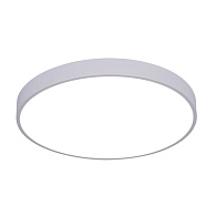 Светильник 50 см, 70W, 2700-4000K Arte Lamp Arena A2670PL-1WH белый
