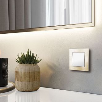 W0011711 Рамка на 1 пост Aluminium, шампань Werkel, 4690389158001